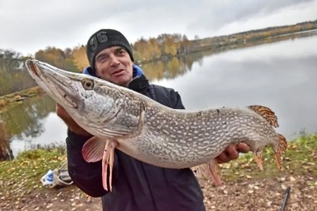 Семейный рекорд и охота на капризную щуку: как пруд преподнёс сюрприз