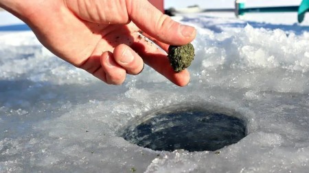 Зимняя прикормка которая работает 100% для белой рыбы в сложных условиях ловли