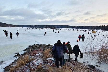 В Карелии из рыбного хозяйства сбежали 44 тонны форели на сумму 30 млн рублей