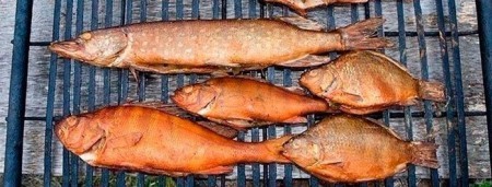 Копчёная рыба дома и на рыбалке — просто, вкусно, с душой!