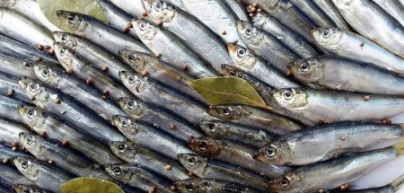 Как засолить кильку дома: проверенные рецепты и секреты вкусной рыбы