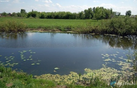 Панинские разливы
