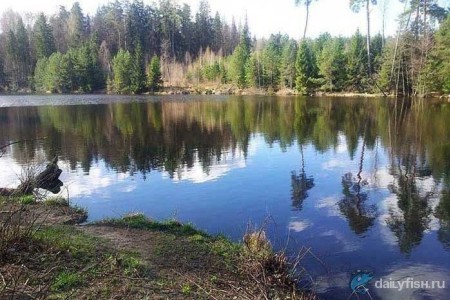 Рыбалка Отрадное
