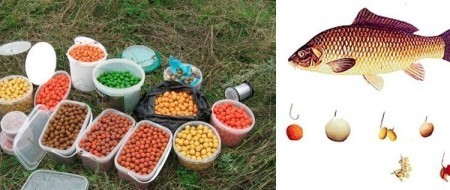 Приманки, которые не оставят шансов сазану: полный гид по наживкам, бойлам и секретным трюкам для крупного улова