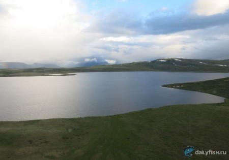 Рыбалка на Хариуса на плато Укок, Республика Алтай