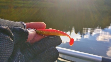 LureMax Slim Shad: рабочий виброхвост для хищника, который приятно удивляет на рыбалке