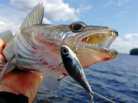 Kosadaka Fish Darts: приманка, которую не ждали — но она ловит! Узнайте все секреты тейл-спиннера