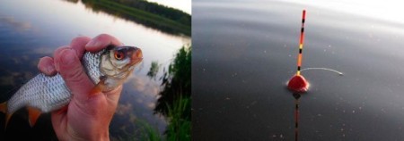 Поплавочная удочка и плотва: лучшие советы для успешной рыбалки на любой воде