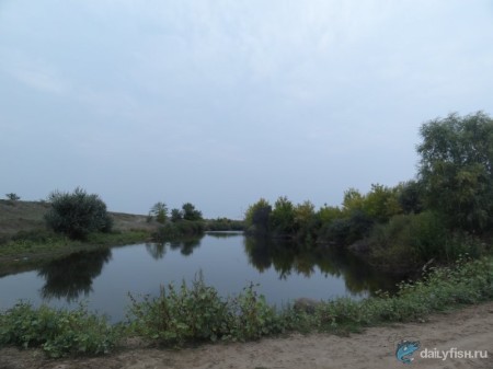 Вязовские пруды