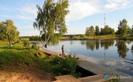 «Три Пескаря» в Белавино