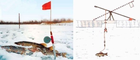 Зимняя ловля щуки на флажки: секреты удачной рыбалки и лучшие советы опытных рыбаков