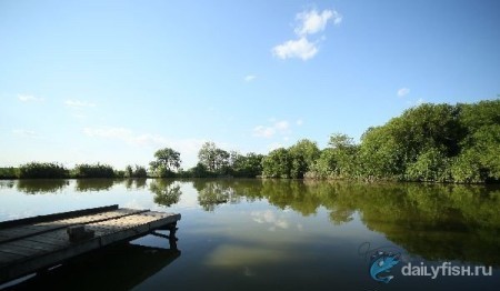 Эксклюзивная рыбалка
