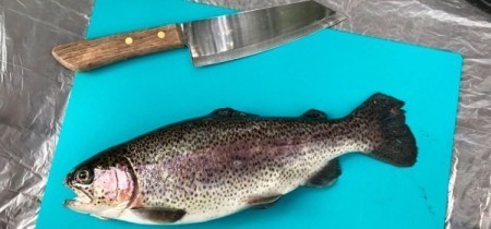 Как быстро и легко разделать форель: советы рыбака, лайфхаки и секреты вкусной рыбы