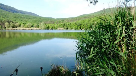 Рыбалка на платных водоёмах: как не стать жертвой мошенников