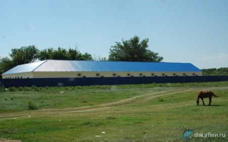 Рыболовная база "Селитрон"
