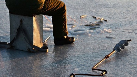 Salmo Fin: мой опыт и честный обзор самой универсальной зимней удочки для рыбалки