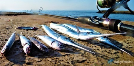 Черноморская рыбалка: как поймать крупную рыбу даже новичку и выбрать лучшие снасти