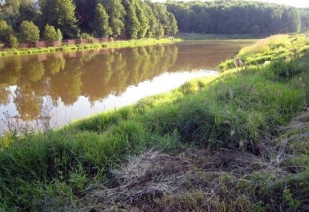 КРХ "Красногорское"