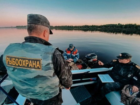 В Приморском крае более 700 браконьеров были обезврежены службой рыбоохраны, которая бережно охраняет рыбные запасы