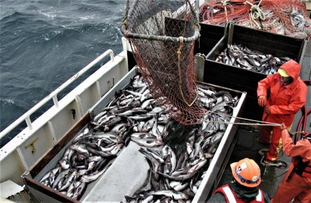 Планы Японии по возобновлению рыболовства в территориальных водах России