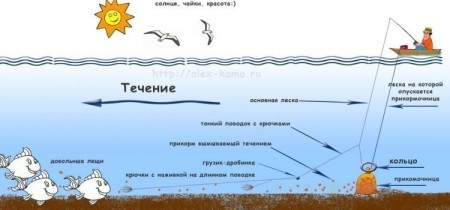 Рыбалка на «кольцо»: секретная оснастка для трофейного леща и белой рыбы