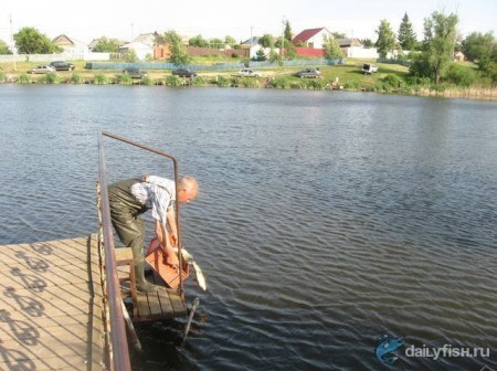Первый пруд Дубки