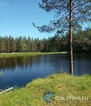 Рыболовный парк Вуохенсало