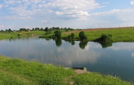 Рыбалка на Алёшинском пруду