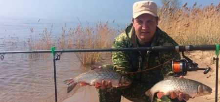 Ловля голавля на фидер и донку: секреты успешной рыбалки и лучшие наживки