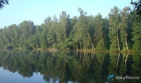 Гостевой дом "Лесная поляна"