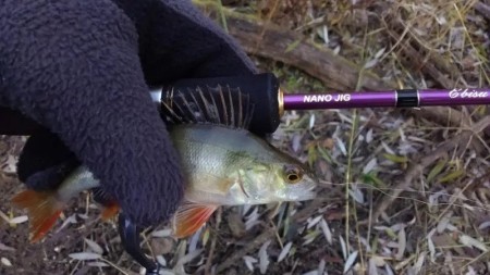Как выбрать идеальный ультралайтовый спиннинг: обзор Crazy Fish Ebisu Violet, который удивил на воде