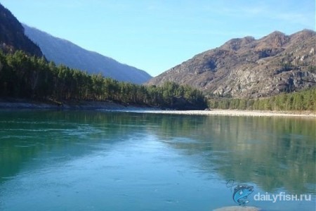 Рыболовный тур на реке Катунь