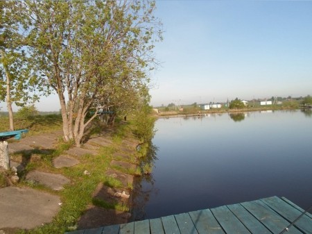 Платная рыбалка Березняки