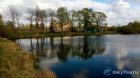 КРХ "Квадрат-Пирогово"