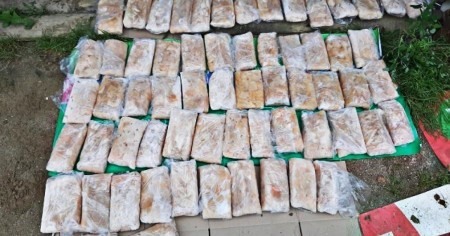 Браконьера в Приморье приговорили к условному сроку в 3 года и штрафу в 1,74 миллиона рублей