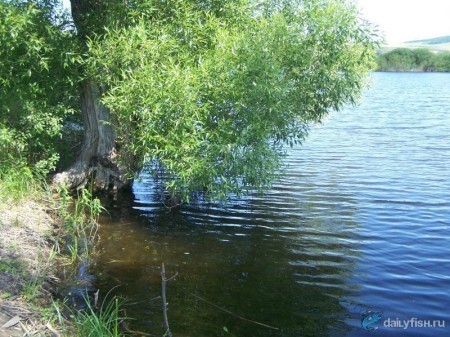 Афанасьевские пруды