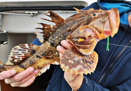 Камчатская морская рыбалка: как поймать краба, треску и почувствовать дыхание океана