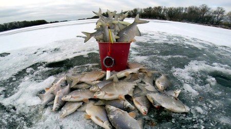 Секреты рыбалки Феврале, как поймать рыбу в самый сложный месяц зимы