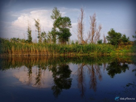 Змеиное озеро