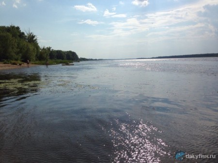 Орловская воложка