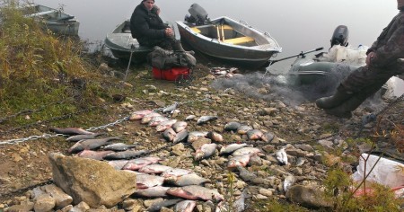 Можно ли отказаться быть понятым на рыбалке у Рыбоохраны