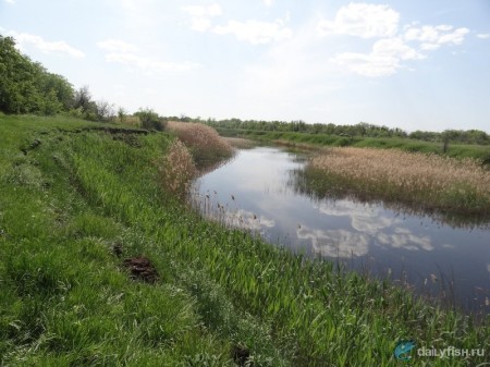 Водохранилище на реке Мечетка