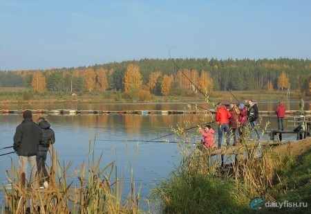 Рыбалка на Шабровском пруду