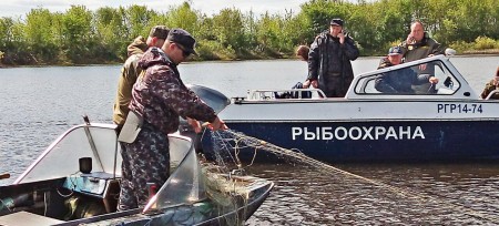 В ГД внесли законопроект о полномочиях рыбинспекторов по статье 8.35
