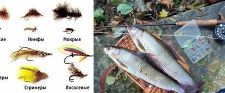 Как поймать хариуса на мушку: лучшие снасти и уловистые приманки для идеальной рыбалки