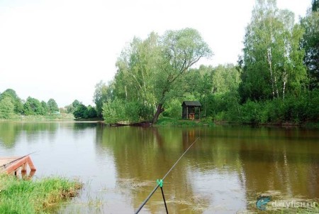 Рыбалка в "Репниково"