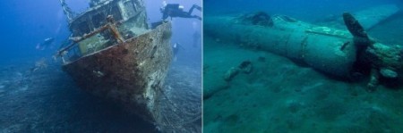 Саргассово море: тайны без берегов, кладбище кораблей и путь угрей длиною в 6000 км