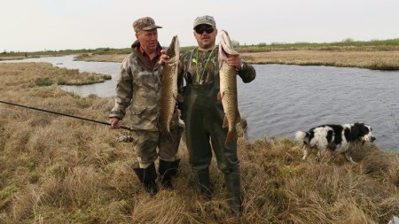 Дикая рыбалка на Сахалине