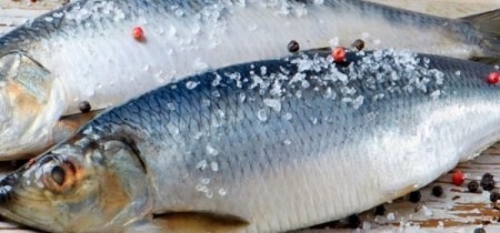 Как сделать малосольную рыбу в домашних условиях: лучшие способы вымачивания и секреты вкуса