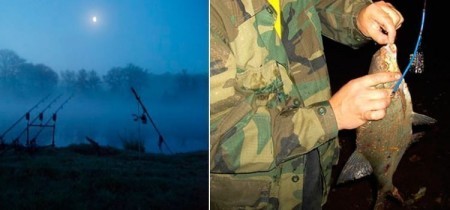 Как поймать крупного леща ночью: лучшие места, снасти и секреты прикормки